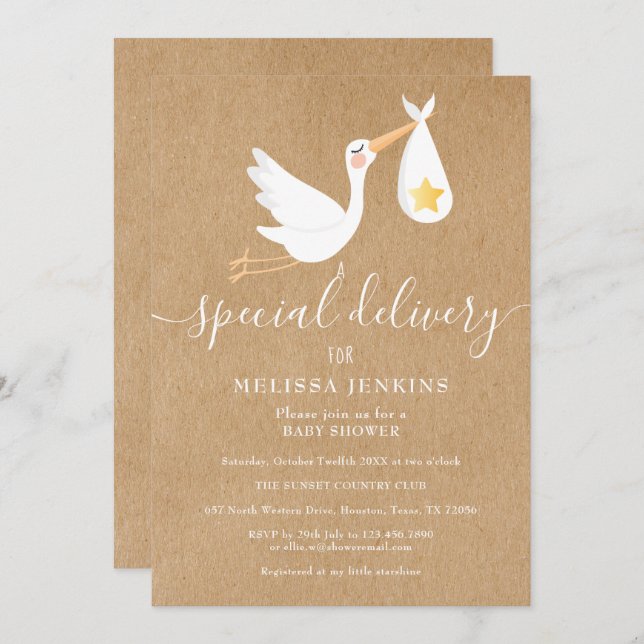 Rustic Special Delivery Stork Baby Shower Sprinkle Invitation (Front/Back)