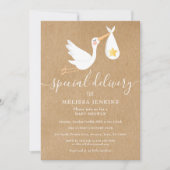Rustic Special Delivery Stork Baby Shower Sprinkle Invitation (Front)