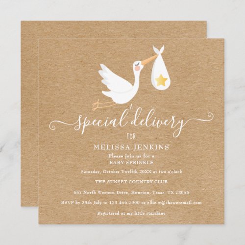 Rustic Special Delivery Stork Baby Sprinkle Shower Invitation