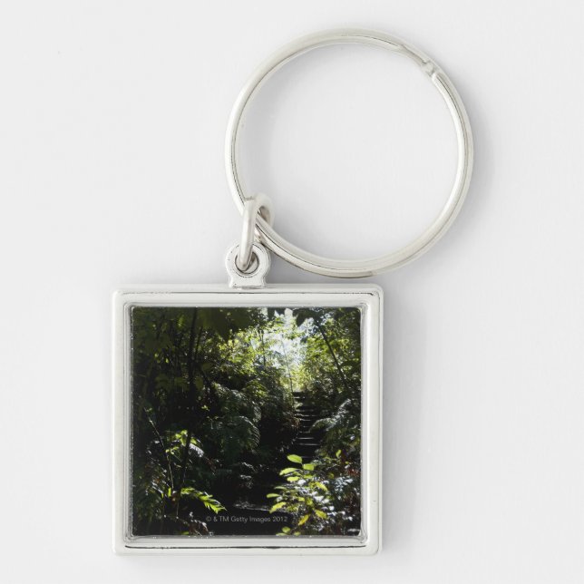 Rustic staircase/footpath in forest, sunlight keychain (Front)