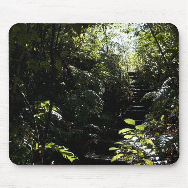 Rustic staircase/footpath in forest, sunlight mouse pad (Front)