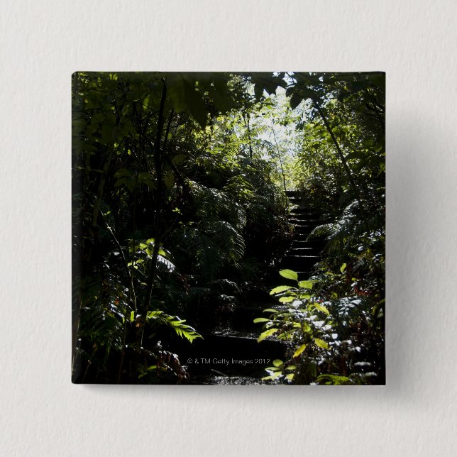 Rustic staircase/footpath in forest, sunlight pinback button (Front)