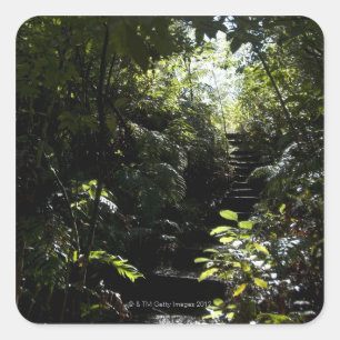 Rustic staircase/footpath in forest, sunlight square sticker