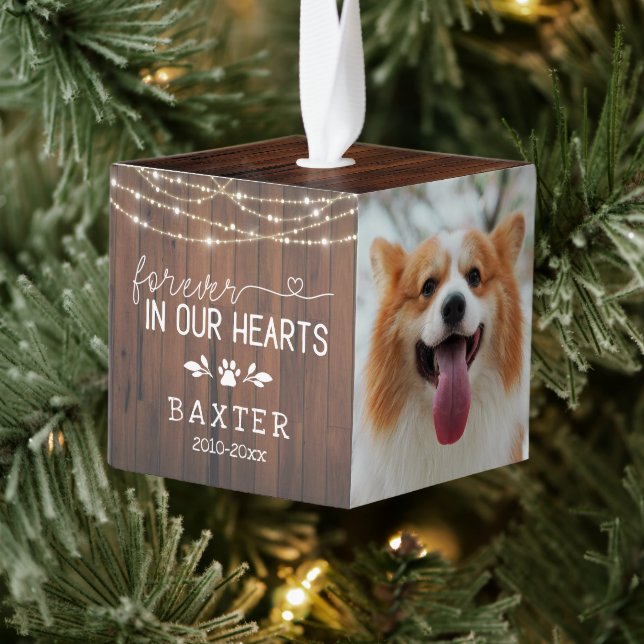 Rustic String Lights Forever In Our Hearts Pet Cube Ornament (Tree)