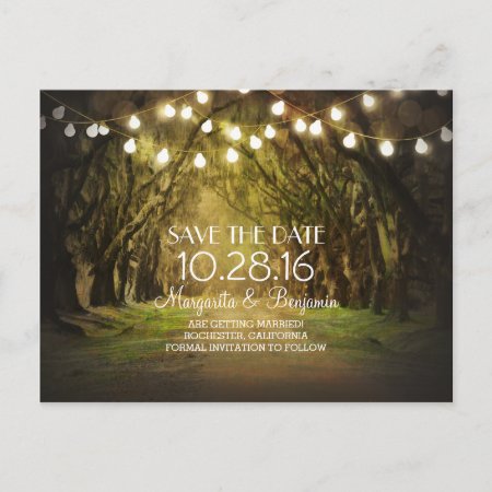 Rustic String Lights Tree Path Save The Date Announcement Postcard