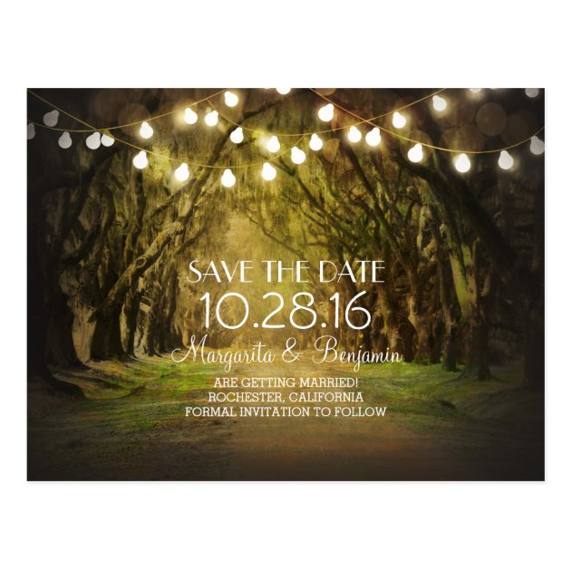 Rustic String Lights Tree Path Save The Date Postcard