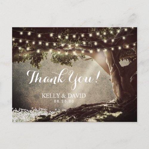 Rustic String Lights Vintage Tree Thank You Postcard