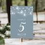 Rustic String Lights Wedding Table Numbers