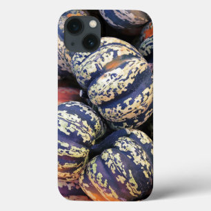 Rustic Striped Pumpkins iPhone 13 Case