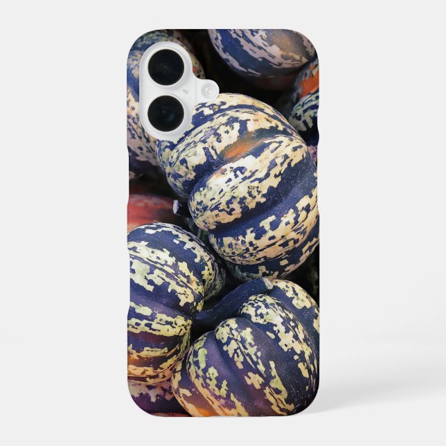 Rustic Striped Pumpkins  Iphone Case (Back)