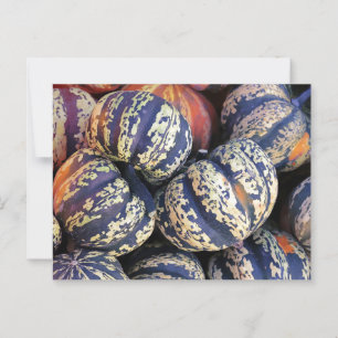 Rustic Striped Pumpkins Postcard