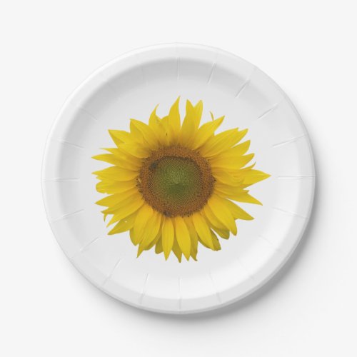 Rustic Sunflower Country Floral  Paper Plates