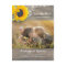 Rustic Sunflower Lace Photo Save the Date