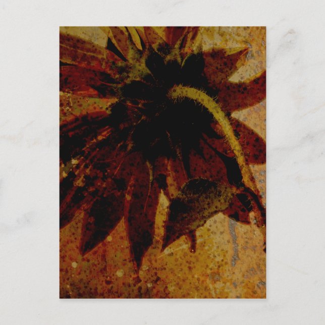 Rustic Sunflower Postcard (Front)