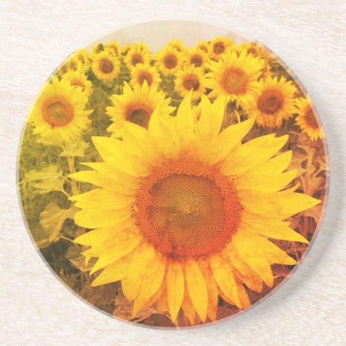 Rustic Sunflower Vintage Floral  Coaster
