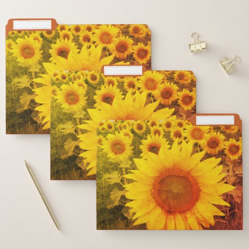 Rustic Sunflowers Vintage Photo File Folder