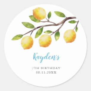 Rustic Sweet Lemon Boy Birthday Party Classic Round Sticker