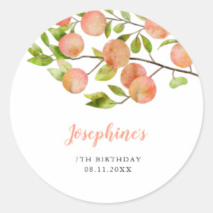 Rustic Sweet Peach Girl Birthday Party Classic Round Sticker