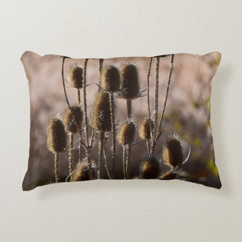Rustic Teasel Thistle Dried Plant Pattern Accent Pillow
