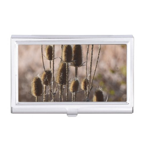 Rustic Teasel Thistle Dried Plant Pattern Business Card Case