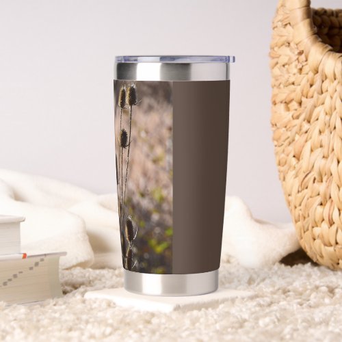 Rustic Teasel Thistle Dried Plant Pattern Insulated Tumbler