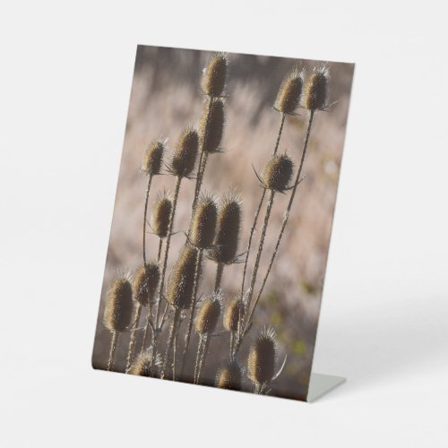 Rustic Teasel Thistle Dried Plant Pattern Pedestal Sign