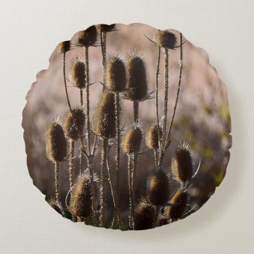 Rustic Teasel Thistle Dried Plant Pattern Round Pillow