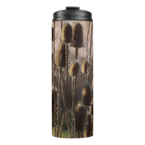 Rustic Teasel Thistle Dried Plant Pattern Thermal Tumbler