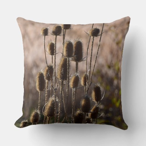 Rustic Teasel Thistle Dried Plant Pattern Throw Pillow