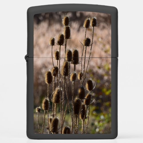 Rustic Teasel Thistle Dried Plant Pattern Zippo Lighter