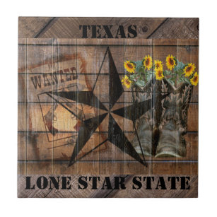 Rustic metal cutout of the shape of the state of Texas and inset Lone Star  Tote Bag