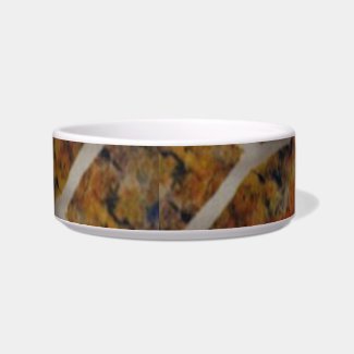 Rustic Texture Slate Painting Pet Bowls