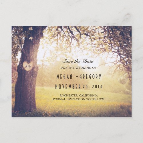 Rustic Tree and Carved Heart Save the Date Announcement Postcard