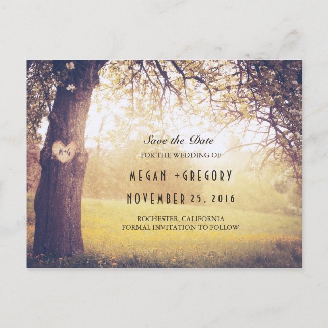 Rustic Tree and Carved Heart Save the Date Announcement Postcard (Front)