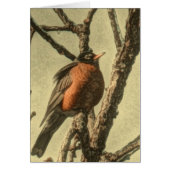 Rustic Tree branches Michigan State Bird Robin (Front)