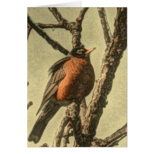 Rustic Tree branches Michigan State Bird Robin Cards (Front)