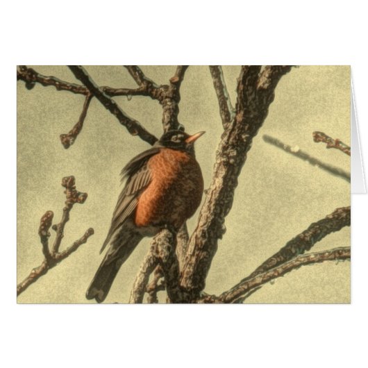 Rustic Tree branches  Michigan State Bird Robin Cards (Front Horizontal)