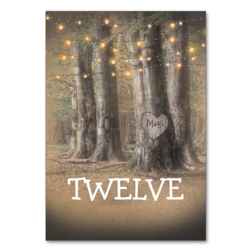 Rustic Tree  String Lights Table Number