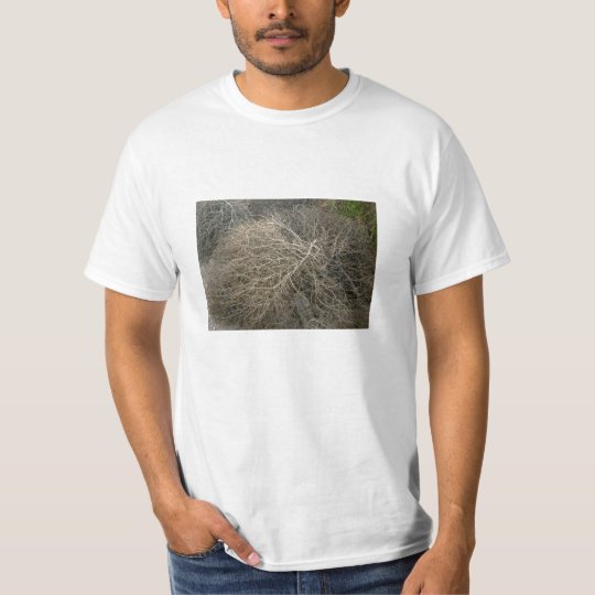 tumbleweed t shirts