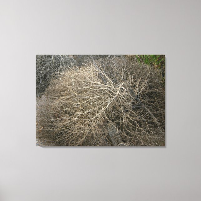 Rustic Tumbleweed Wrapped Canvas Art (Front)