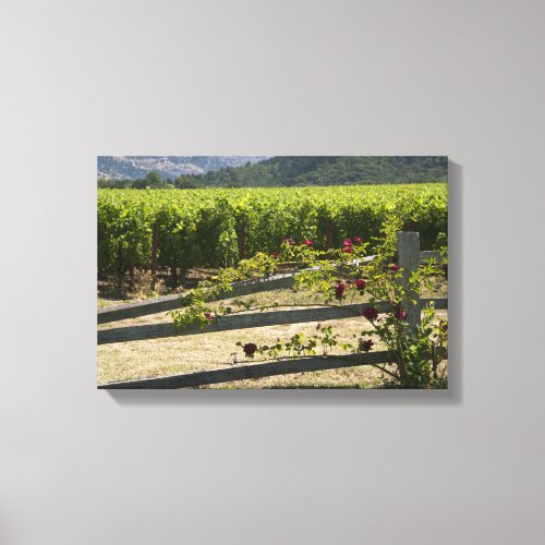 Rustic Vineyard and Rose Fence Canvas Print