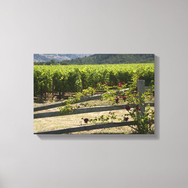 Rustic Vineyard and Rose Fence Canvas Print (Front)