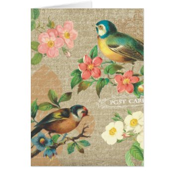 Rustic Vintage Birds And Flowers Shabby Elegance by jardinsecret at Zazzle