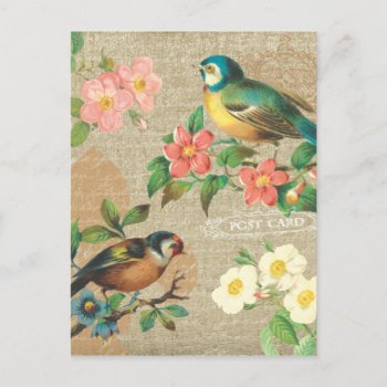Rustic Vintage Birds And Flowers Shabby Elegance Postcard by jardinsecret at Zazzle