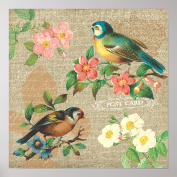 Rustic Vintage Birds And Flowers Shabby Elegance Poster by jardinsecret at Zazzle