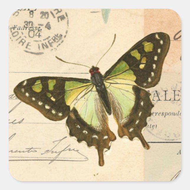 Rustic vintage butterfly in green sticker (Front)