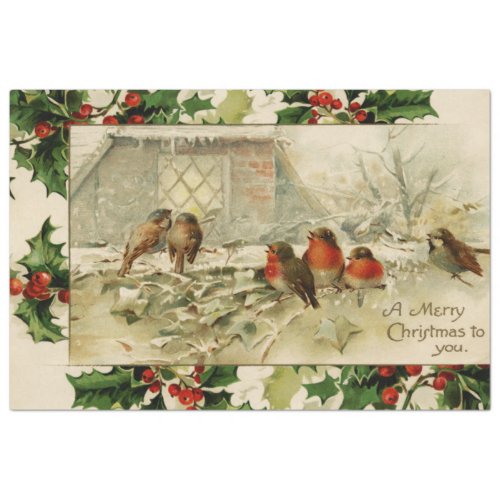 Rustic Vintage Christmas Snow Birds wHolly  Tissue Paper
