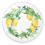Rustic Vintage Farmhouse Lemon Floral Greenery Art Ceramic Knob