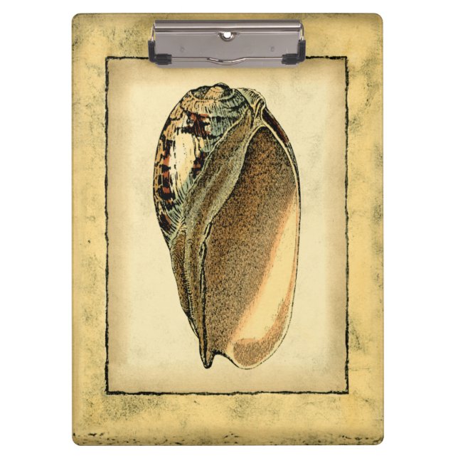 Rustic Vintage Seashell Clipboard (Front)
