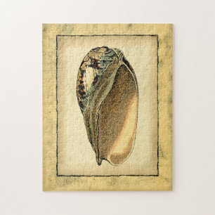 Rustic Vintage Seashell Jigsaw Puzzle